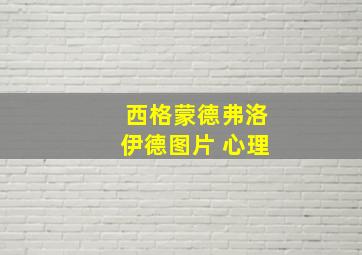 西格蒙德弗洛伊德图片 心理